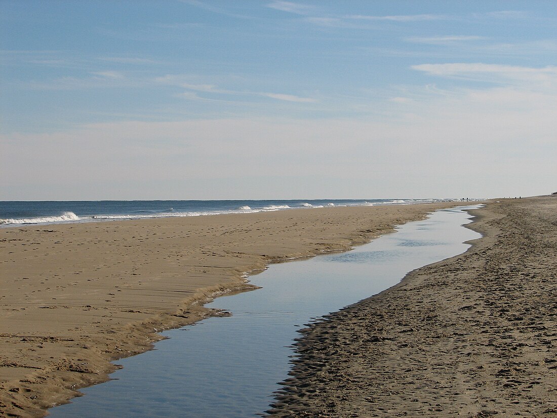 Fenwick Island State Park