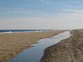 Thumbnail for Fenwick Island State Park