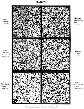 Photomicrograph of grain of different photographic plates Film Grain.jpg