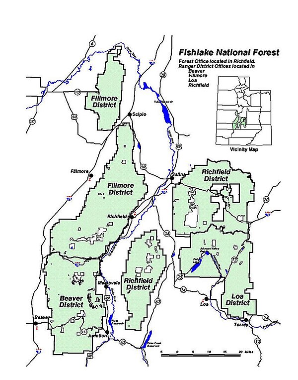 Tuskegee National Forest Macon County Alabama Forest Little