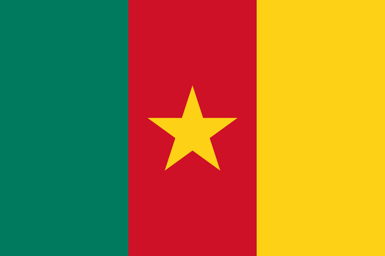 Drapeau Du Cameroun Sous Différentes Formes, Drapeau Du Cameroun