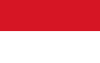 Flagi Austro-Węgier: Flagi jako „symbol państwowy”, Bandery, Flagi regionalne