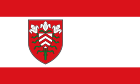 Bandiera de Halle