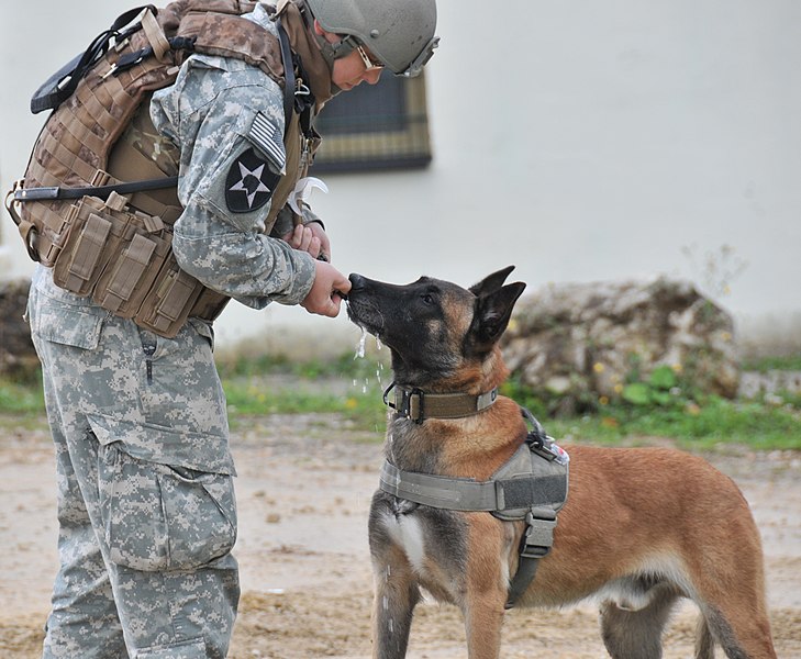 File:Flickr - DVIDSHUB - 173rd Airborne Brigade Combat Team (Image 1 of 13).jpg