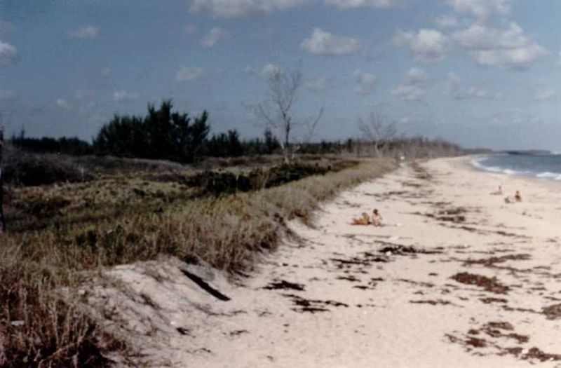 File:Florida reed wild sea sanc.jpg