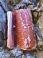 Frozen salmon fillet.jpg