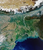 Ganges-Brahmaputra delta, detalle Landsat.