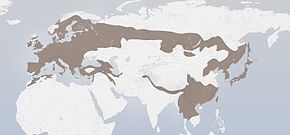 Описание изображения Garrulus glandarius distribution.jpg.