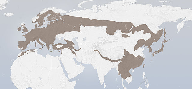 Eurazinio kėkšto paplitimo arealas