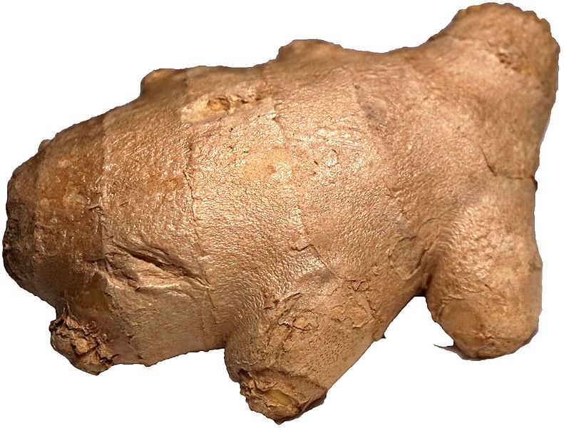 File:Ginger 2.jpg