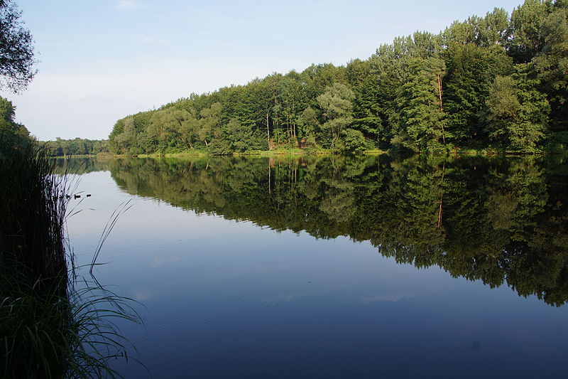 File:Gotteshülfeteich.jpg