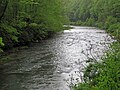 Greenbrier River (downstream from Durbin, West Virginia, USA) 2 (27169924954).jpg