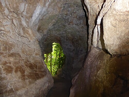 Galerie d'entrée de la grotte des Puits (Pierre-la-Treiche, Lorraine, France)