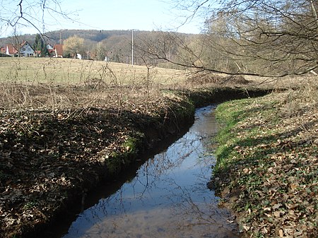 Gunzenbach (Hohlenbach)