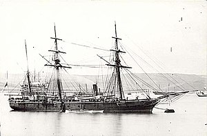 HMS לילי (1874) .jpg