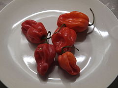 Red habaneros on a plate, bought from a food store