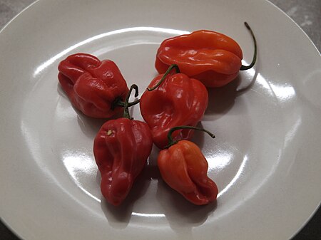 Fail:Habanero_chilies_from_Stockmann.jpg