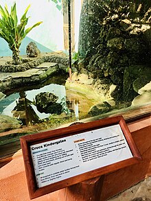 Crocodile nursery in the Haller Park Haller Park 04.jpg