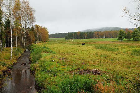 Hammerbrücke muldenwiesen1, saxony