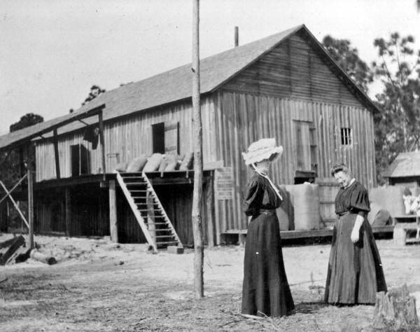 Cotton gin, c. 1900