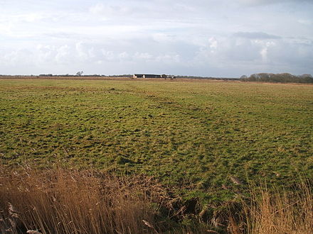 A view to the old barns in the centre of Heigham Holmes Heigham Holmes (National Trust) - geograph.org.uk - 261112.jpg