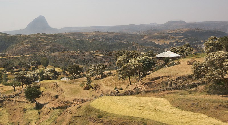 File:Hillside Farm, Tigray Region, Northern Ethiopia (3134129470).jpg