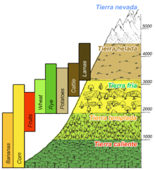 Altitudinal zones of Andes Mountains and corresponding communities of agriculture and livestock raised Hoehenstufen der anden.en.PNG