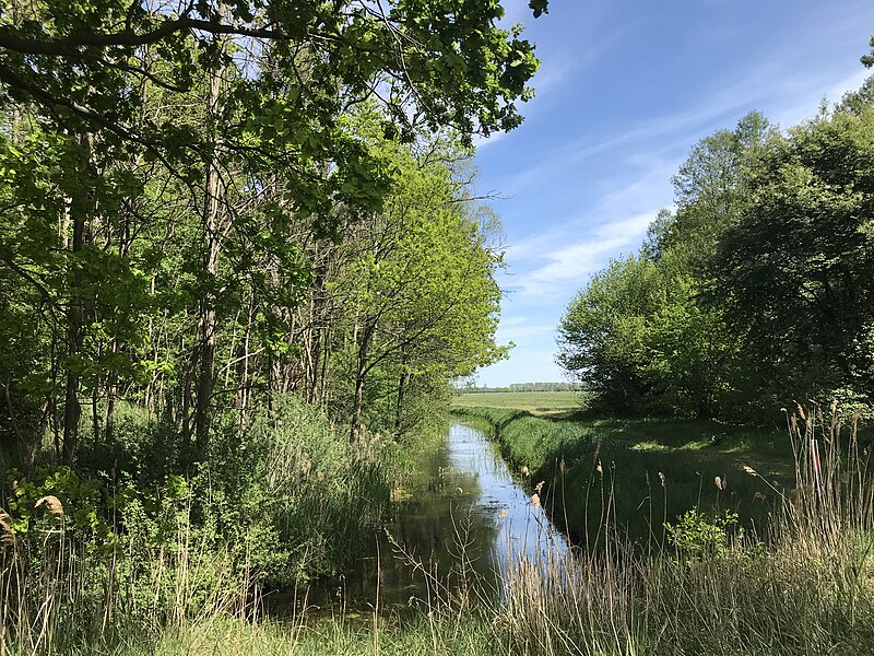 File:Horstgraben Horstwalde Blick nach Osten.jpg