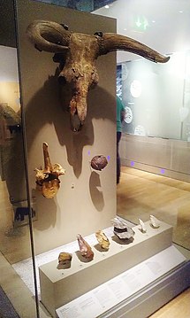 A part of the Paleolithic exhibit