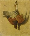 Jacob Biltius- Trompe l’oeil of a game bird suspended from a nail.jpg