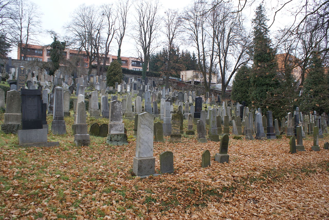Jewish cemetery in Velké Meziříčí 11.JPG