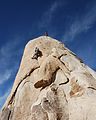 Joshua Tree - Dandelion 3.jpg