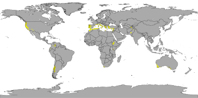 Clima Mediterrânico: Classificação climática de Köppen e de Trewartha, Precipitação, Bioma do clima mediterrânico