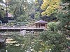 Japanese Garden in the botanic gardens.