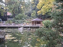 The Japanese Garden in the botanic gardens