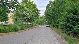 Kalkreuther Straße, Dresden 04