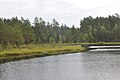 Kausu ezers, Baldones pagasts, Baldones novads, Latvia - panoramio.jpg