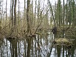 Kleiner-Spreewald-Park