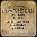 Kronach - Stolperstein Selma Tannenbaum (Friesener Straße 21).jpg