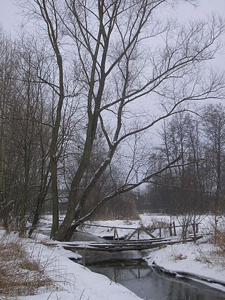 <span class="mw-page-title-main">Kurówka</span> River in Poland