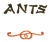 ANTS