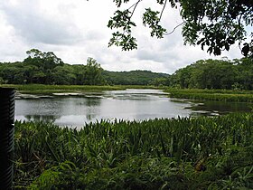 Lago Ngardok sull'isola di Babeltuap