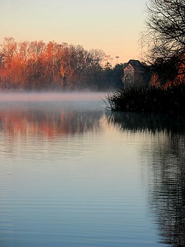 Lake Alice Fog.jpg