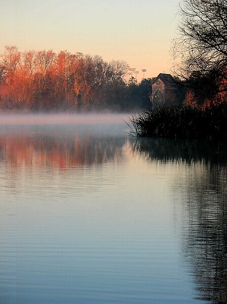 File:Lake Alice Fog.jpg