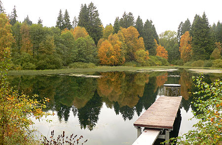 Lakenteich mit Steg Herbst