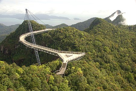Le sky bridge, un pont permettant de découvrir la canopée.