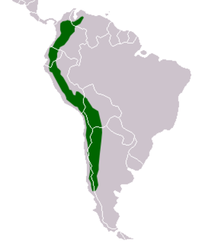 The location of the Andes in South America