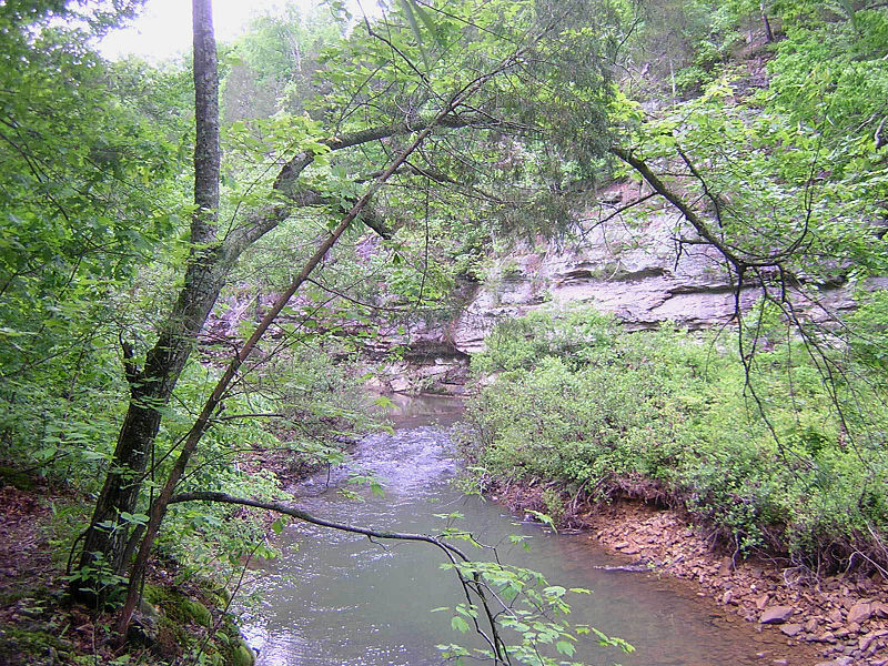 File:Lusk-Creek-Canyon.jpg