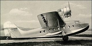 Macchi M.C.94 Type of aircraft