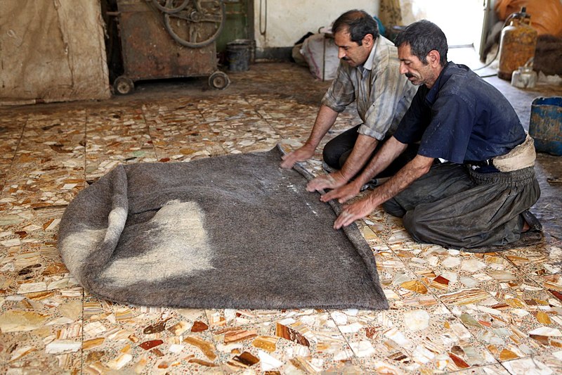 File:Making a felt robe for Bakhtiari shepherds.jpg